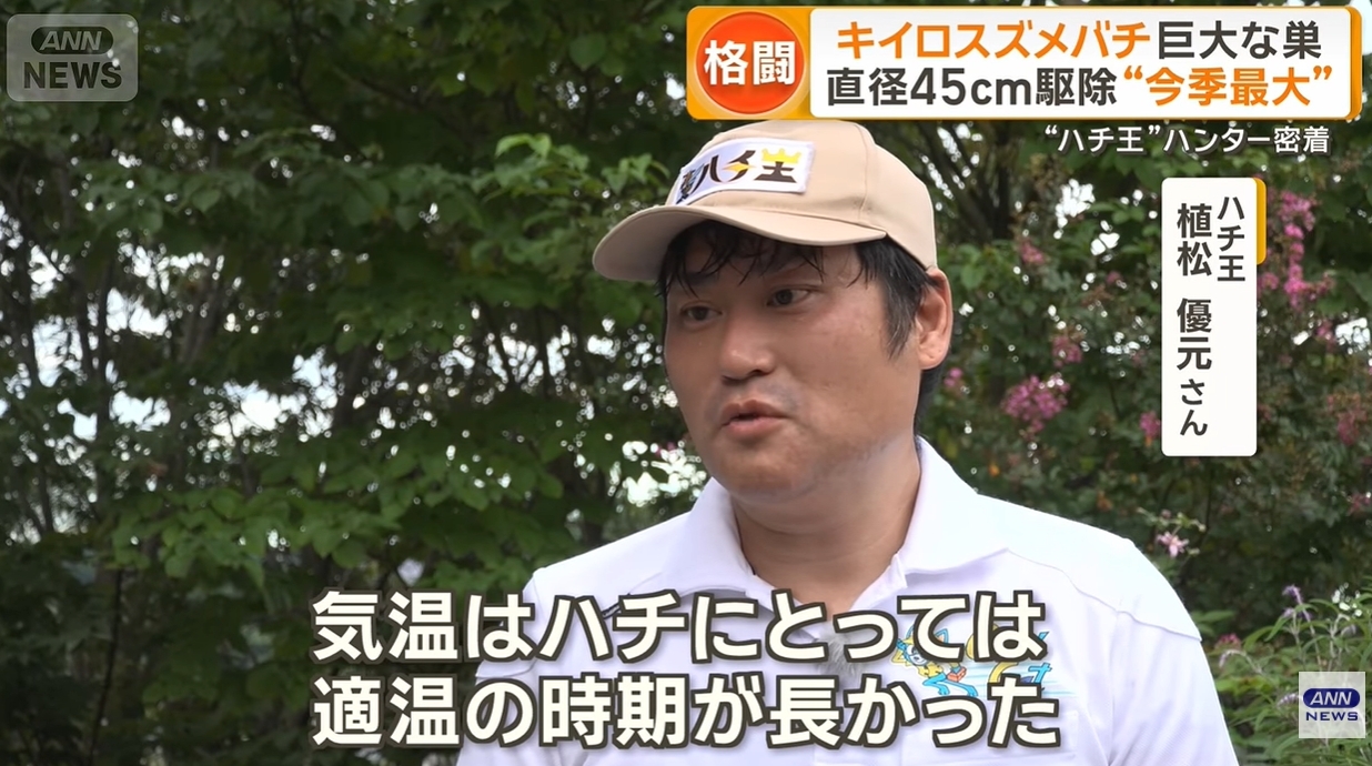 テレビ取材を受けるハチクイック代表 植松優元