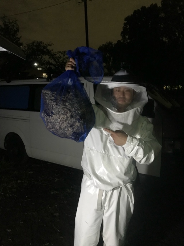 夜間のハチ駆除作業